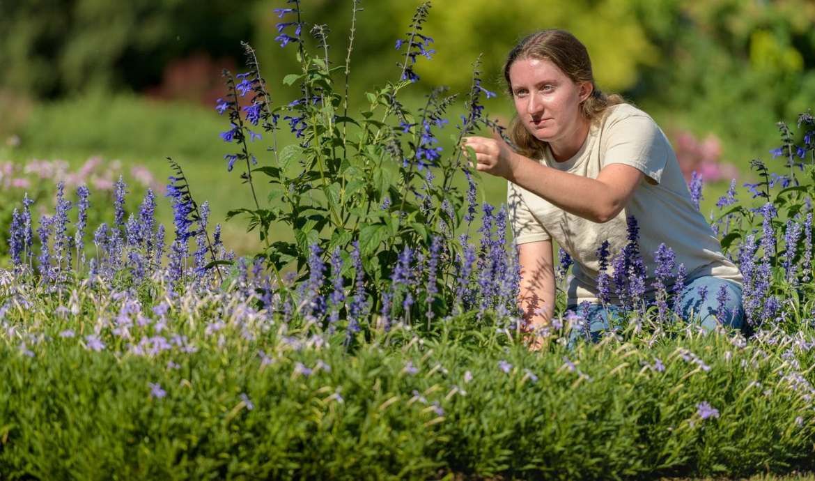 What a Horticulturalist and I Have in Common